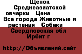 Щенок Среднеазиатской овчарки › Цена ­ 35 000 - Все города Животные и растения » Собаки   . Свердловская обл.,Ирбит г.